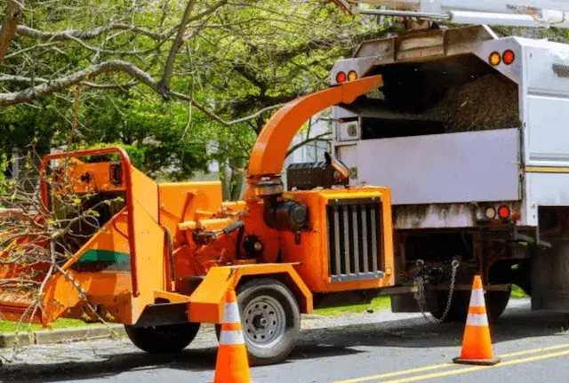 tree removal bucks pa